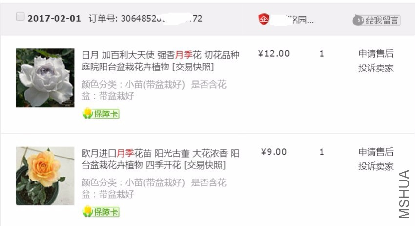 order_3.jpg