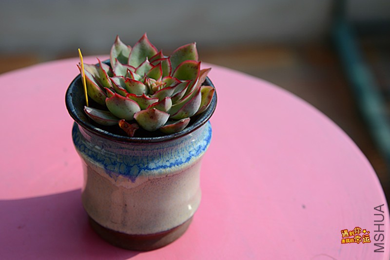 ��Ƭ 083_����.jpg