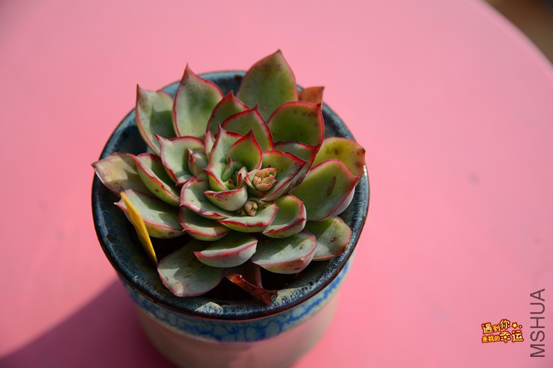 ��Ƭ 085_����.jpg