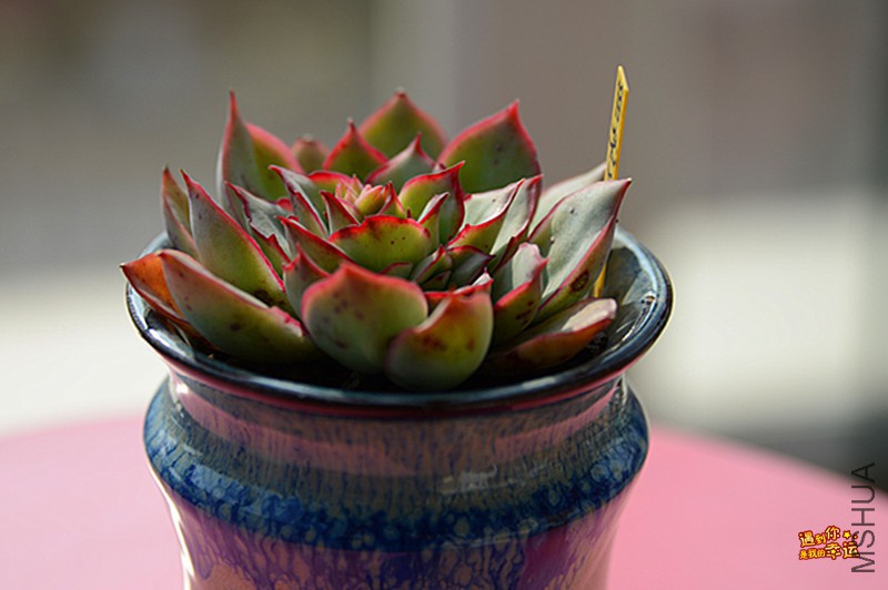 ��Ƭ 088_����.jpg