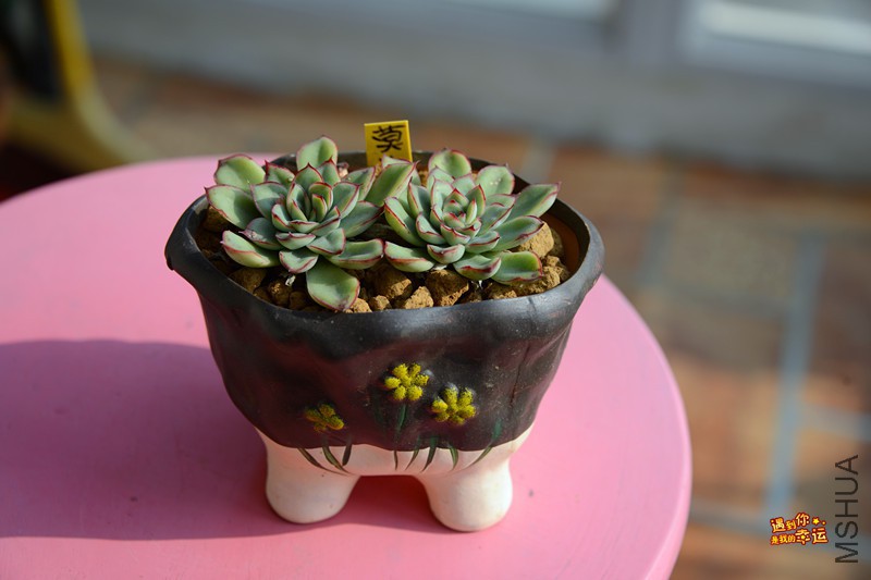 ��Ƭ 076_����.jpg