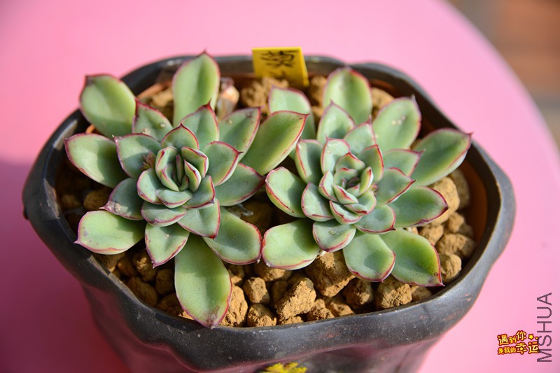 ��Ƭ 080_����.jpg