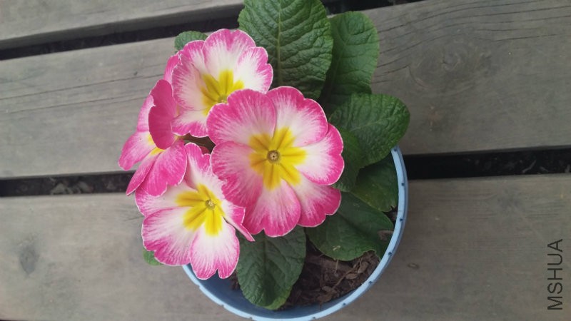 20170310_142110.jpg