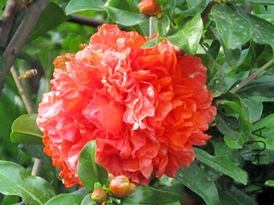 2011631109261587.jpg