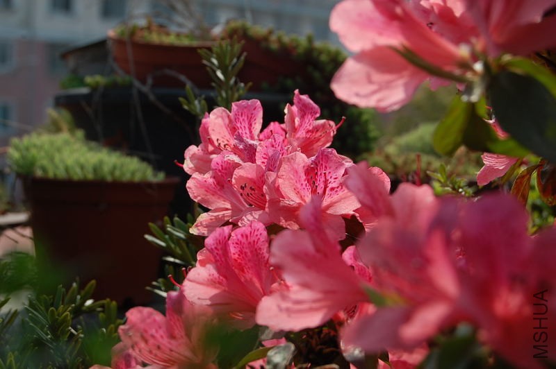 DSC_99680123.JPG