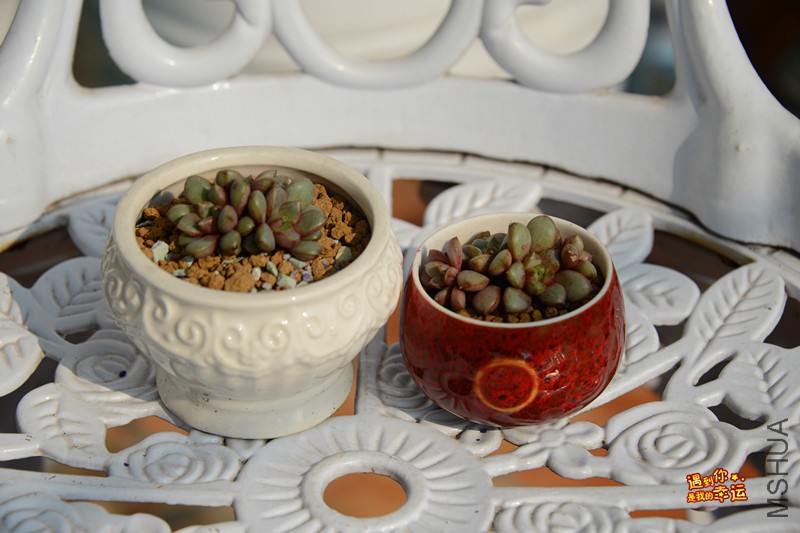 ��Ƭ 152_����.jpg