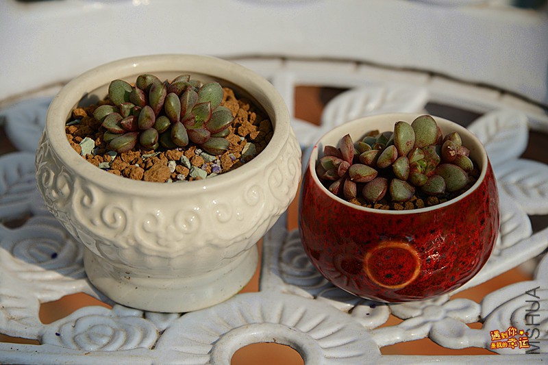 ��Ƭ 154_����.jpg