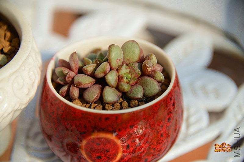 ��Ƭ 157_����.jpg