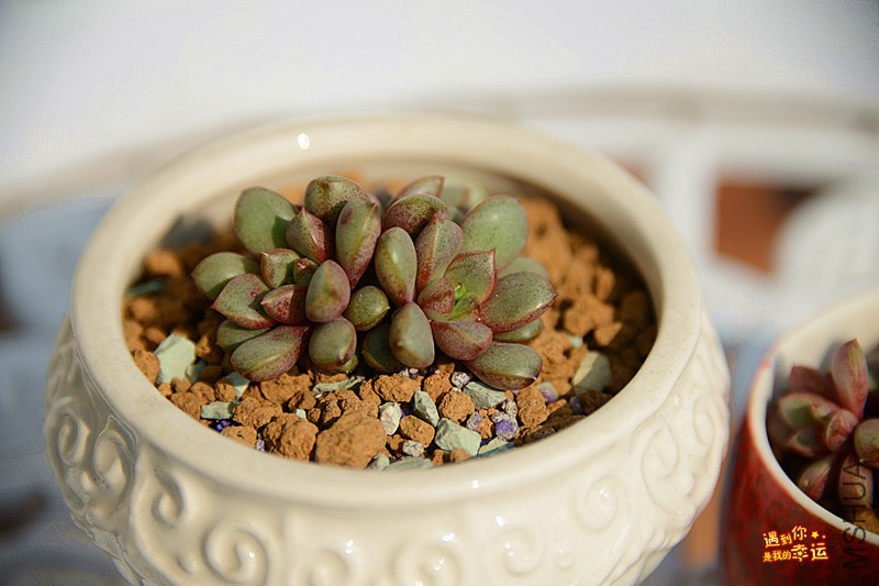 ��Ƭ 159_����.jpg