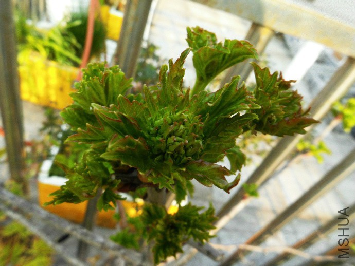 ľ����õ��