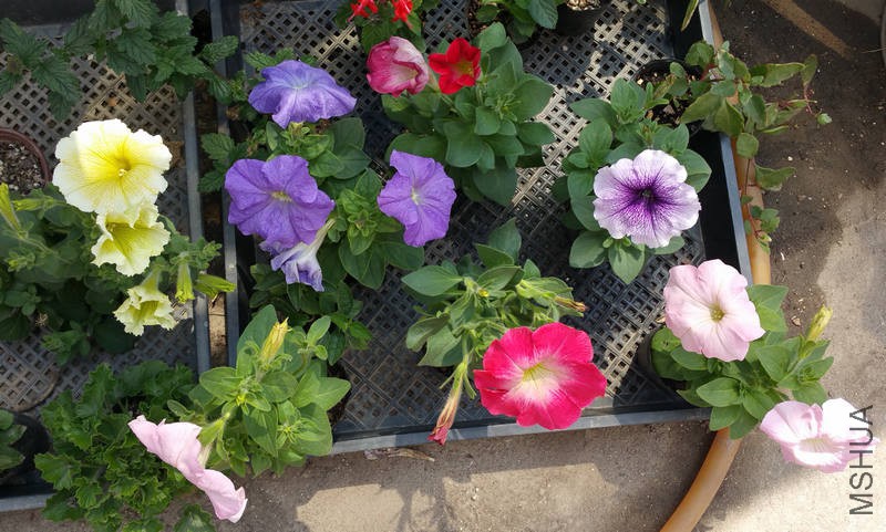 20170403_105735.jpg