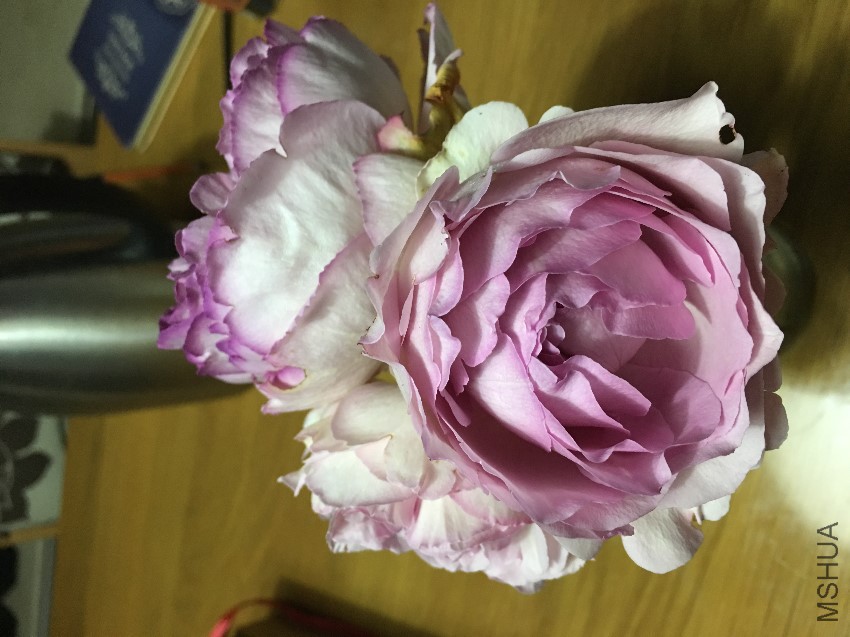 ��ܽ��������