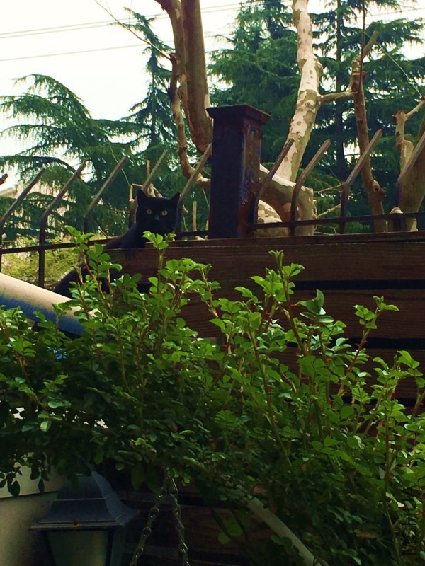 ����������͵��������� �ǲ��ǿ����Ҽ�������