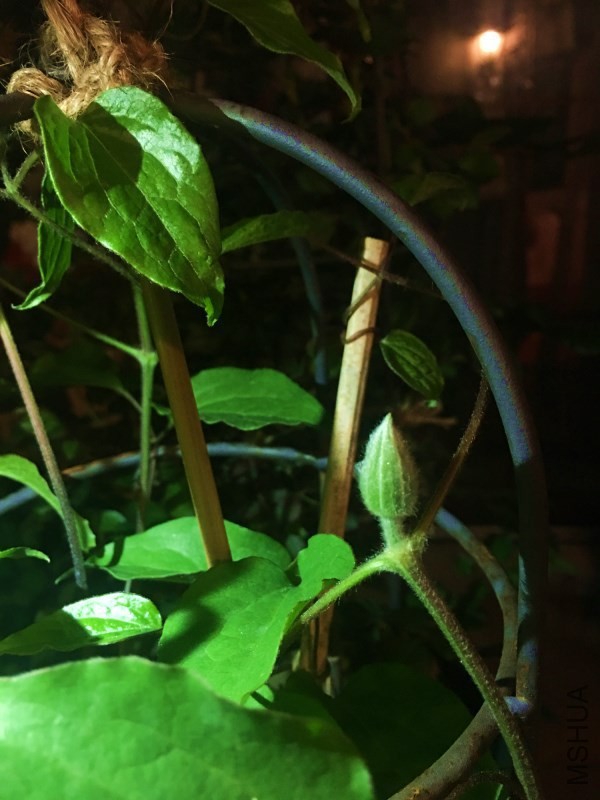 ���������� �ÿ���