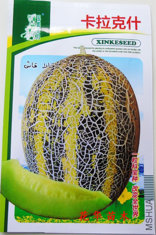 �½��˳�Ϊ��üë���