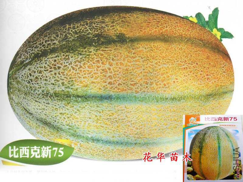 �Ͻ����Ʒ�֣��ڸ������������ֽ��Ϻ���