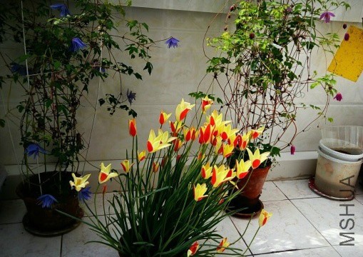 ԭ���������³˹������������θ������ش�˵��