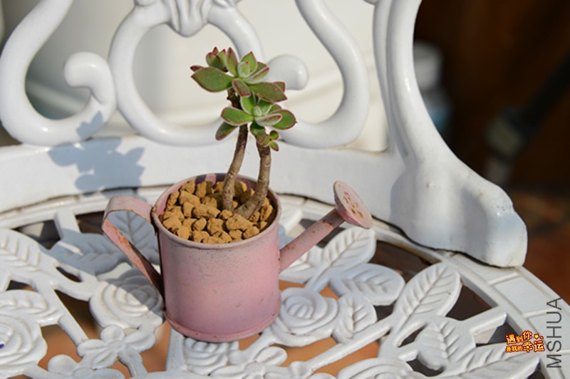 ��Ƭ 160_����.jpg