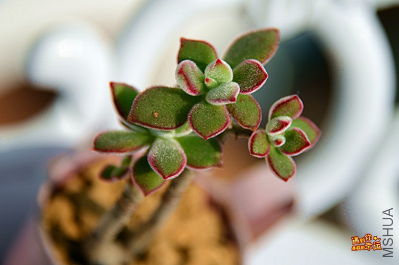 ��Ƭ 162_����.jpg