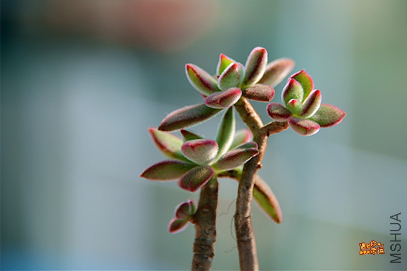 ��Ƭ 164_����.jpg