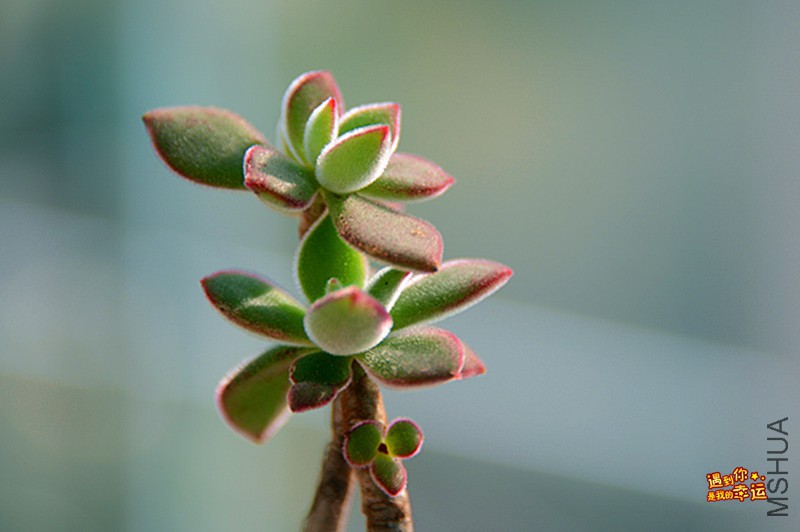 ��Ƭ 166_����.jpg