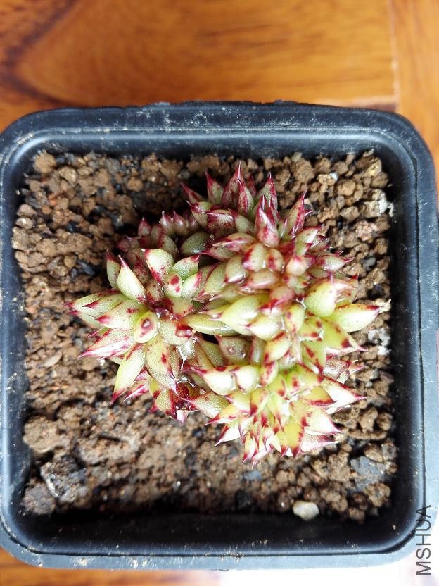 �������£��պ��ڵ�ˮλ��������󱻽���һ����