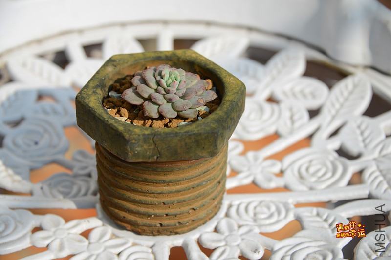 ��Ƭ 184_����.jpg