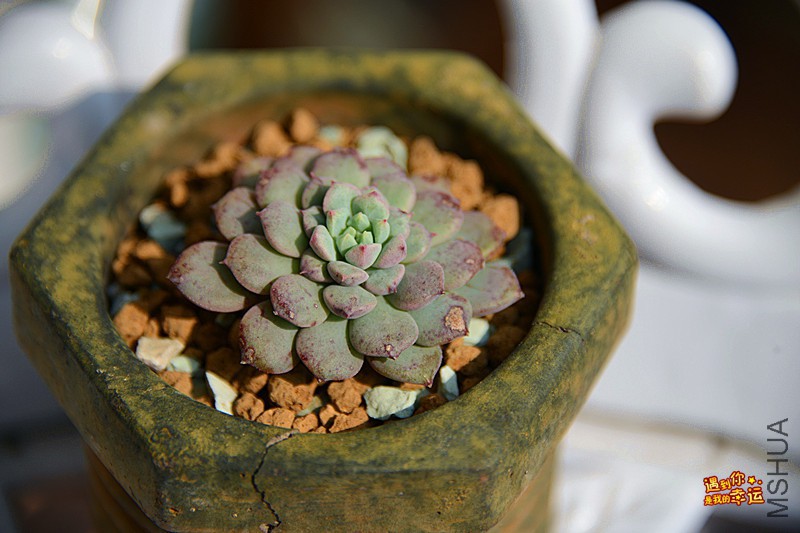 ��Ƭ 186_����.jpg