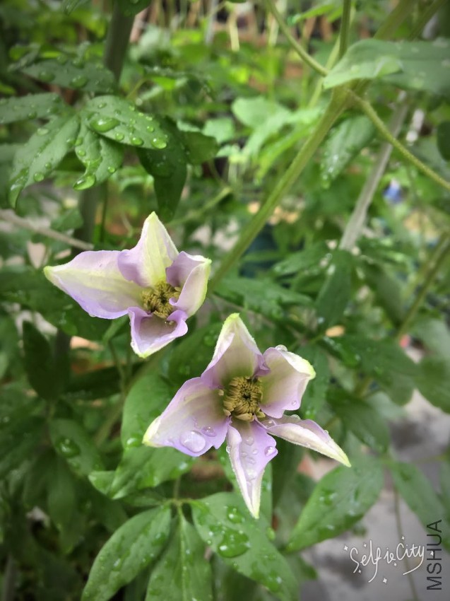 �����ģ������ģ������ģ���Ҫ������˵......��