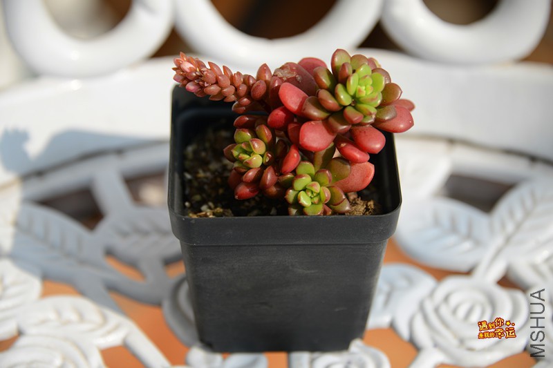 ��Ƭ 189_����.jpg