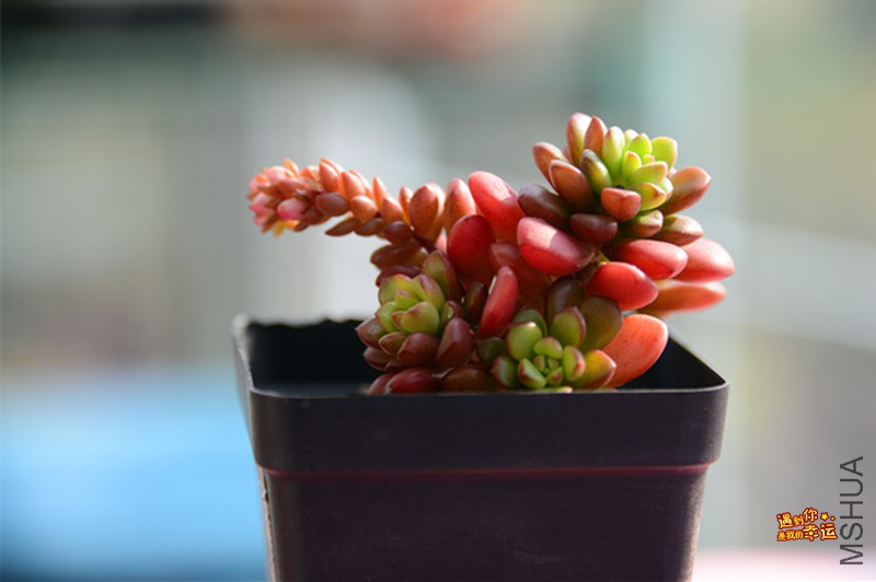 ��Ƭ 195_����.jpg