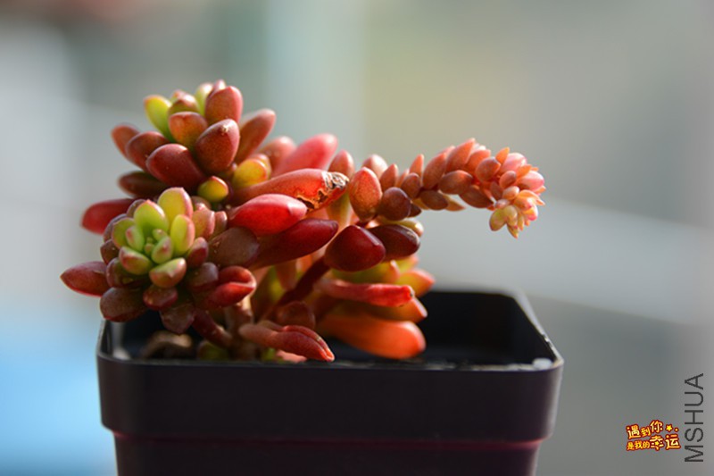 ��Ƭ 193_����.jpg