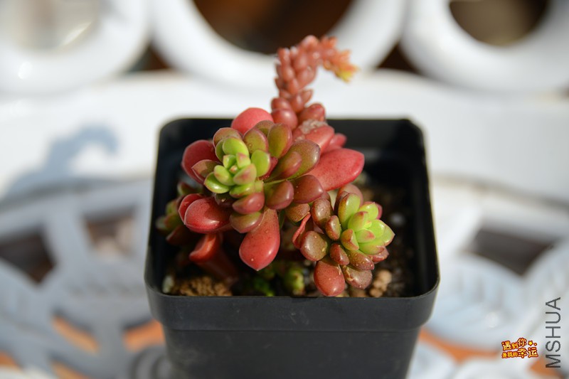 ��Ƭ 192_����.jpg