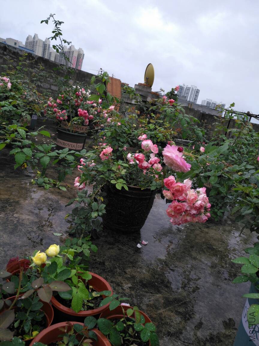 224411sqg6g3413zyyw61j.jpg