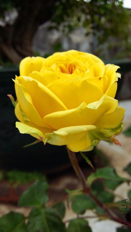20170404_115221_����.jpg