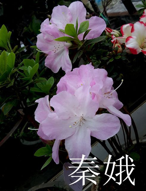 20170405_102500_����.jpg