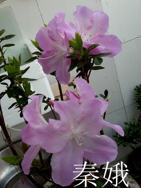 20170401_160742_����.jpg