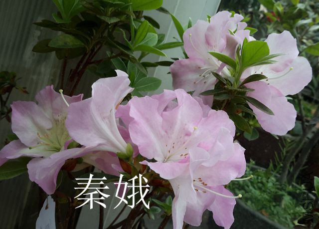 20170407_115356(0)_����.jpg