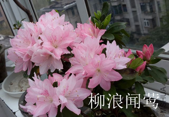 20170405_102451_����.jpg