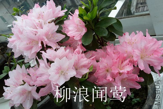 20170407_115408_����.jpg