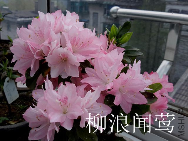20170406_085859_����.jpg