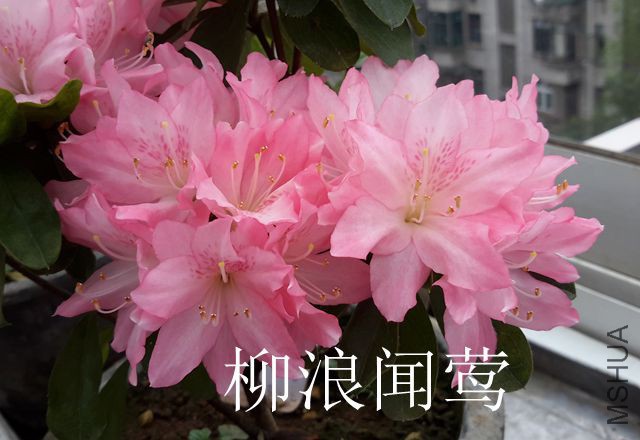 20170407_115416_����.jpg