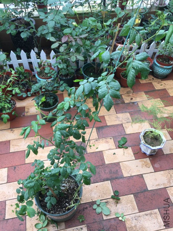 ȥ����������ǼҸ��ʷѷ�����С�磬���ڳ������80��������