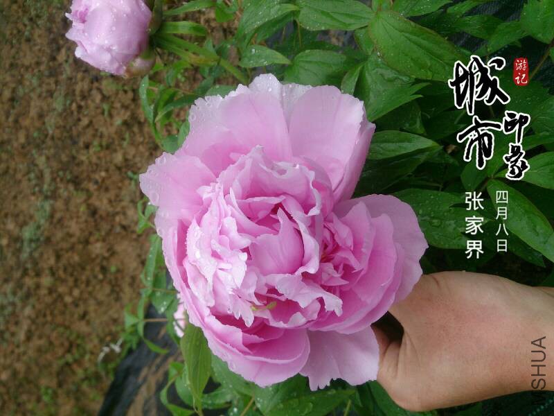 122719wnd18y18levn8ddd.jpg