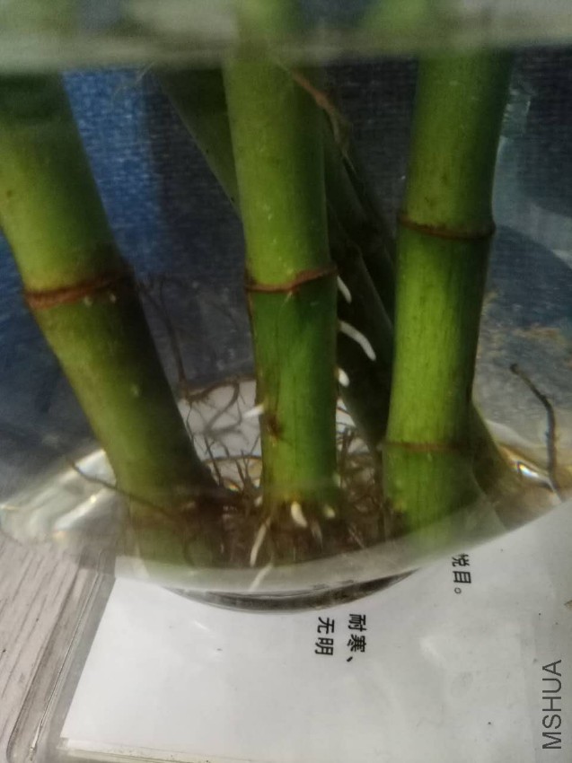 ΢��ͼƬ_20170408142313.jpg
