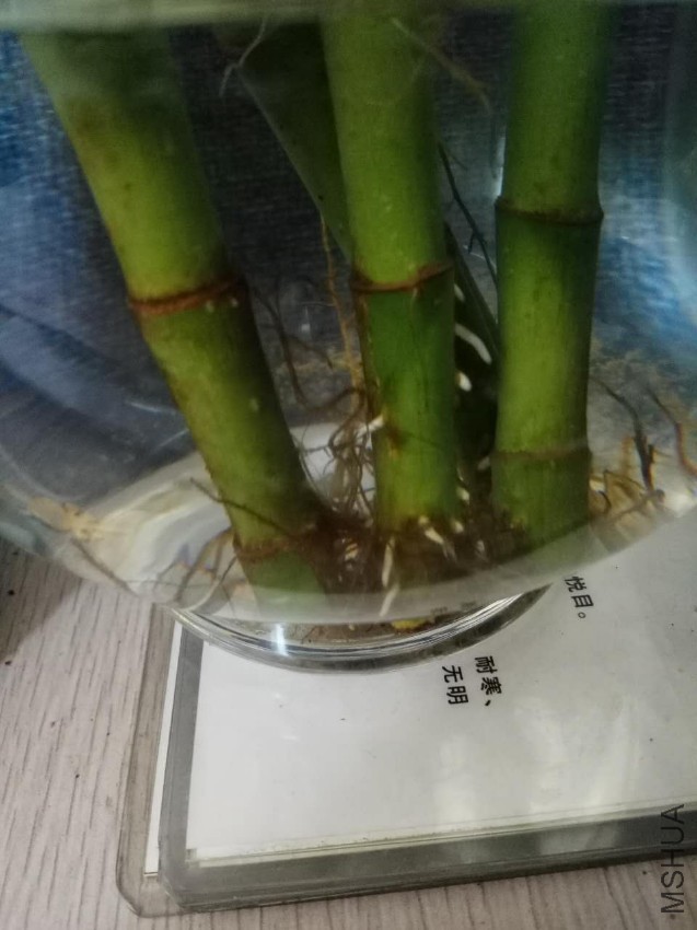 ΢��ͼƬ_20170408142319.jpg