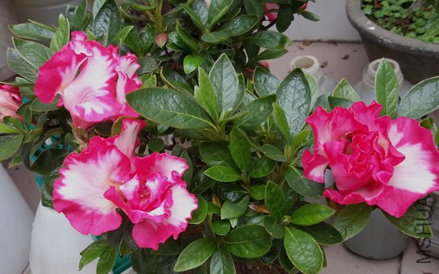 20170405_102433_����.jpg