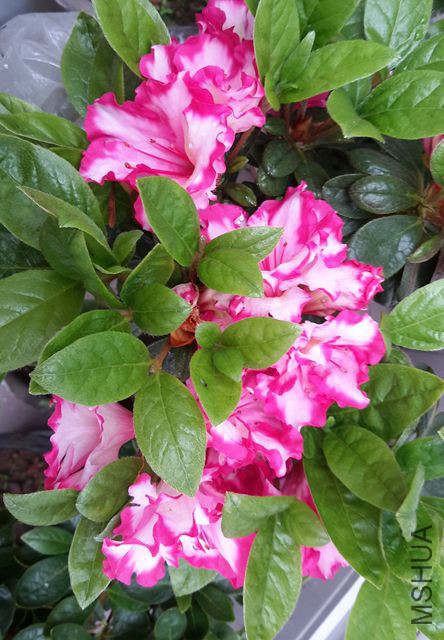 20170405_102353_����.jpg