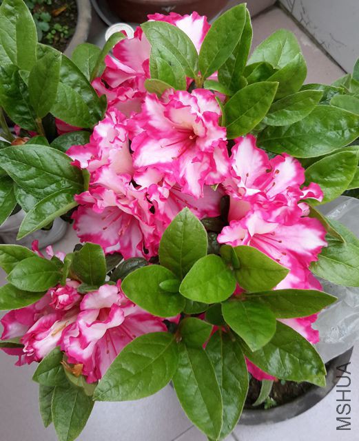 20170407_115237_����.jpg
