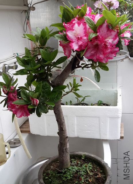20170407_115529_����.jpg